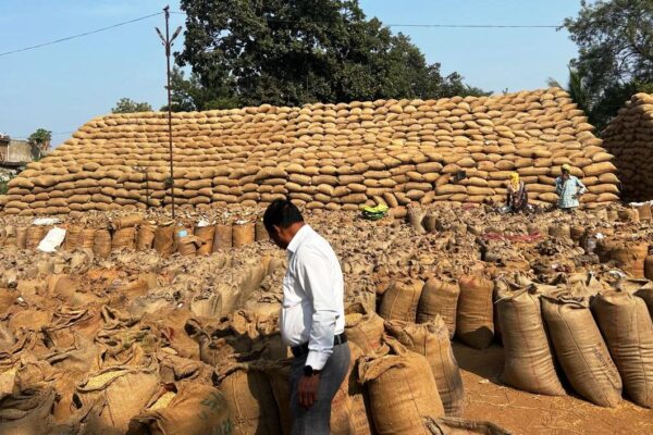 Continuous action continues against illegal paddy transportation and storage