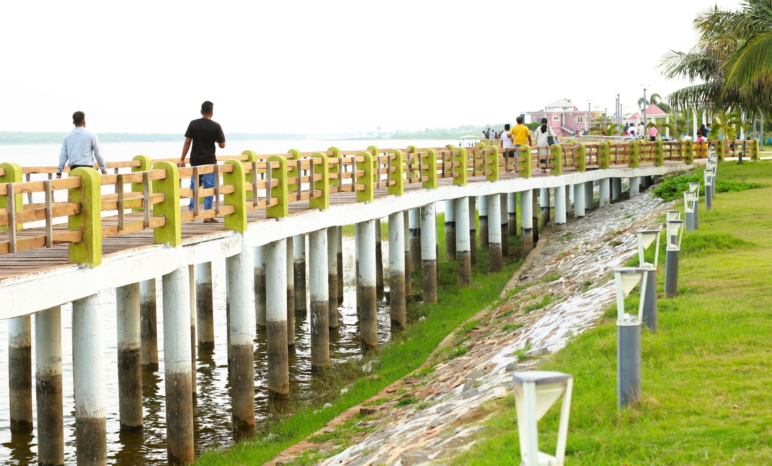 tampara lake news